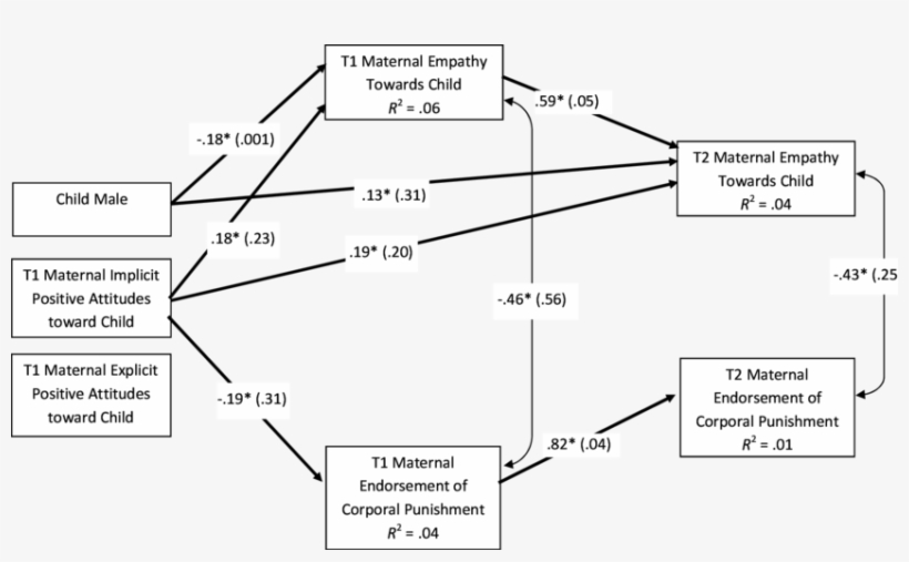 Longitudinal Path Model Examining Associations Between - Diagram, transparent png
