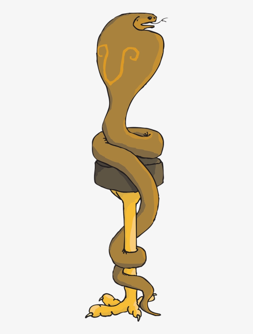 Vector - Serpent, transparent png