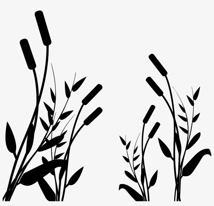 Big Image - Drawing, transparent png