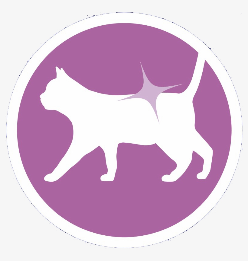 F03 One Cat Turkey Rice 800g - Cat, transparent png