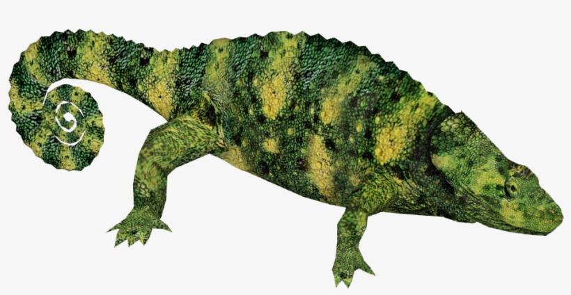 Images Diana Ho, transparent png