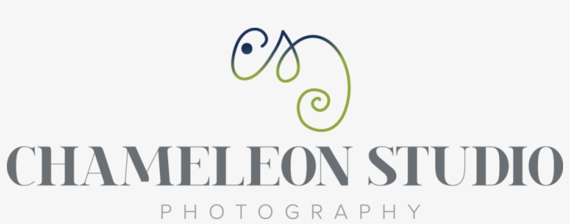 Chameleon Studio Photography, transparent png