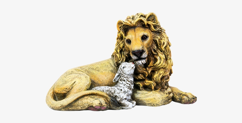 Lion & Lamb - Masai Lion, transparent png