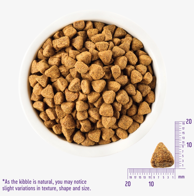 Product Image - Wellness Core Puppy Small Breed, transparent png