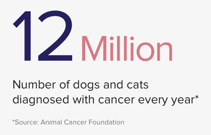 Insight-0303 - Trouble Maker, transparent png