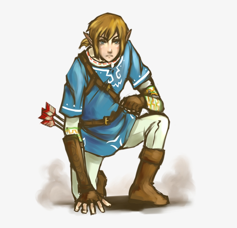 Link Fan Art From Next Zelda Wiiu Game - Cartoon, transparent png