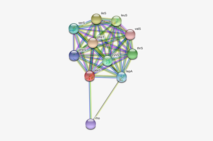 Circle, transparent png