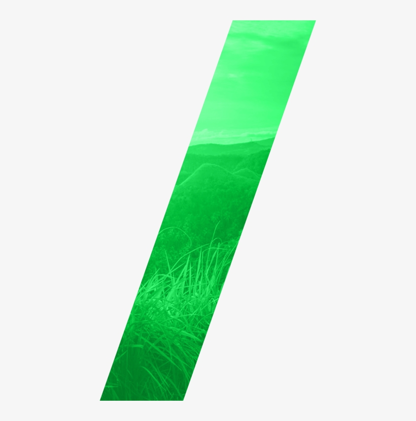Home Insurance2 Slider Pic2 Total Access Elevator - Grass, transparent png