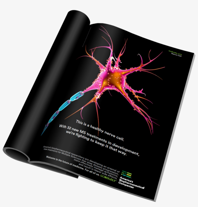 Nerve Cell Mag Mockup Nobackground, transparent png