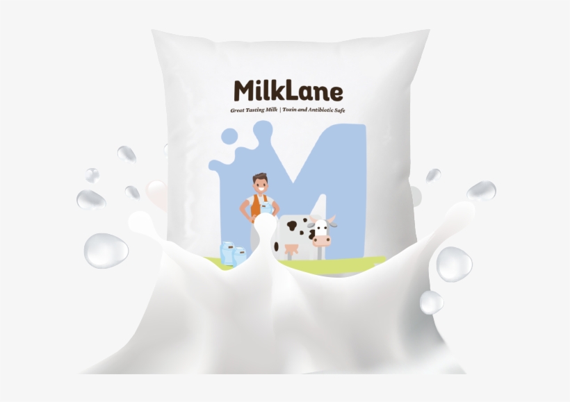 Right Side Image - Throw Pillow, transparent png