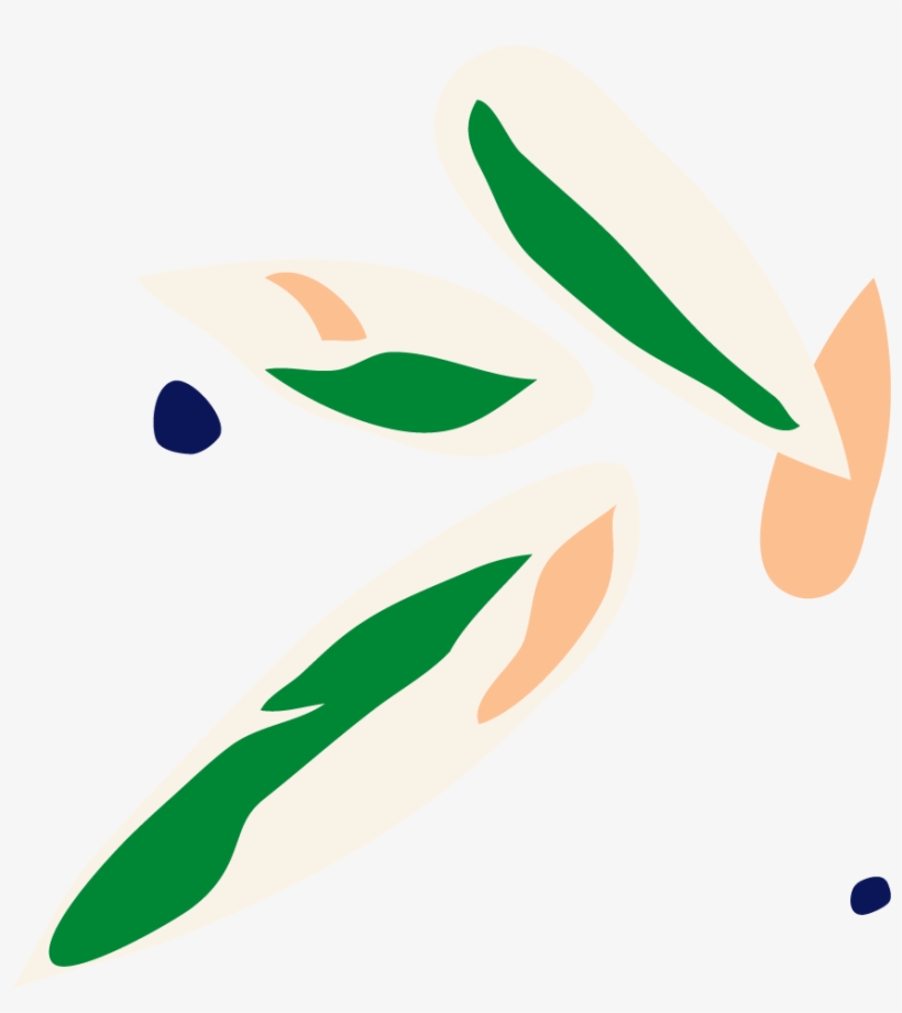 Buy Large, Potted Stromanthe Triostar Indoor Plant, transparent png