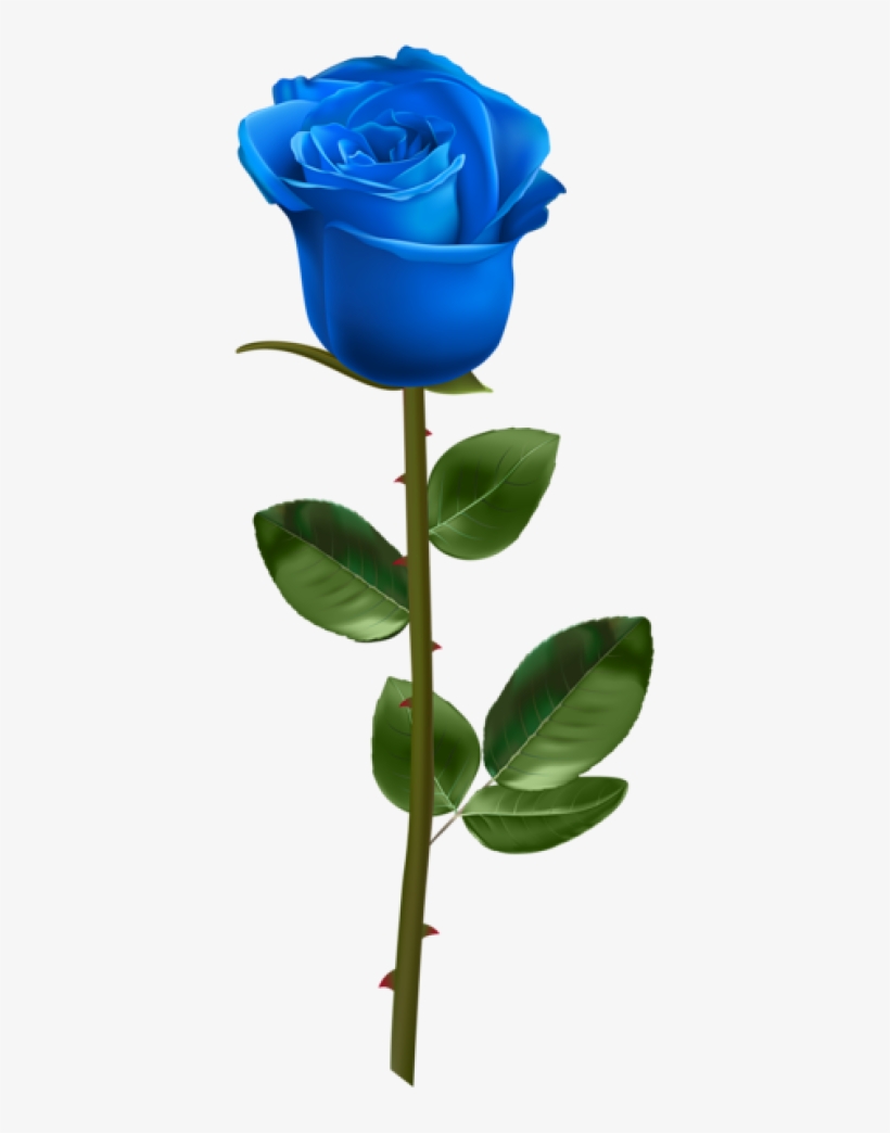 Rose Png, Download Png Image With Transparent Background, - Blue Rose With Stem, transparent png