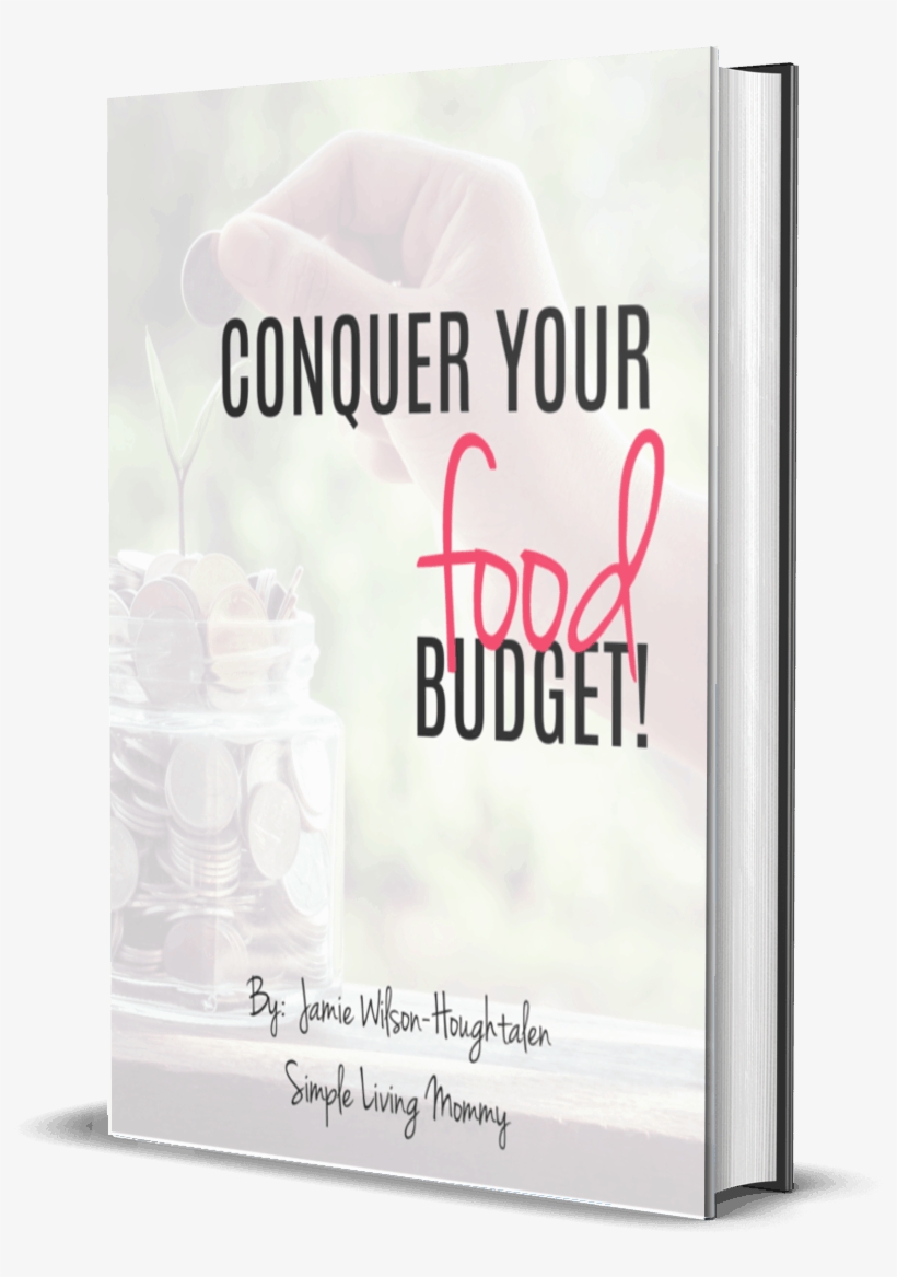 Conquer Your Food Budget Ebook Cover Png - Flyer, transparent png