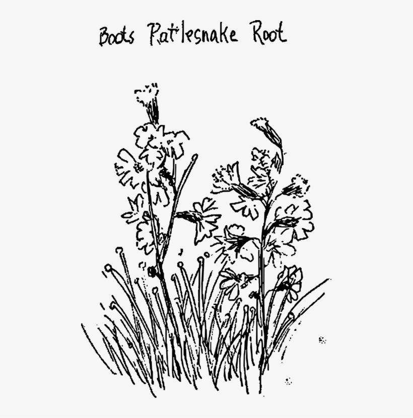 Drawing Line Art Computer Icons Floral Design Booting - Boot, transparent png