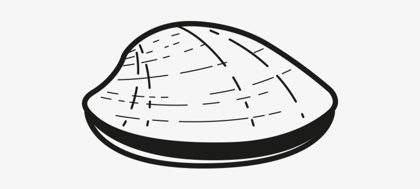 Clam - Sketch, transparent png