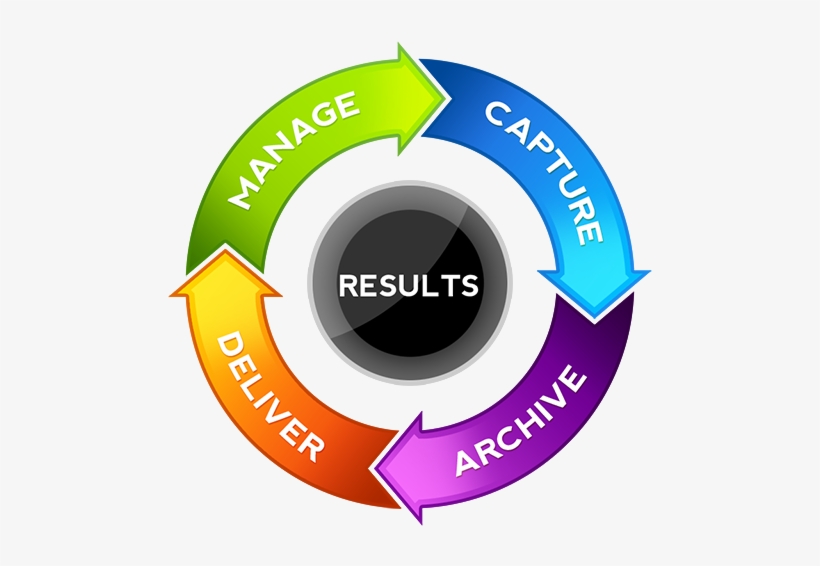 The Document Lifecycle Represents The Process Used - Romanian Orthodox Reunification Cathedral, transparent png