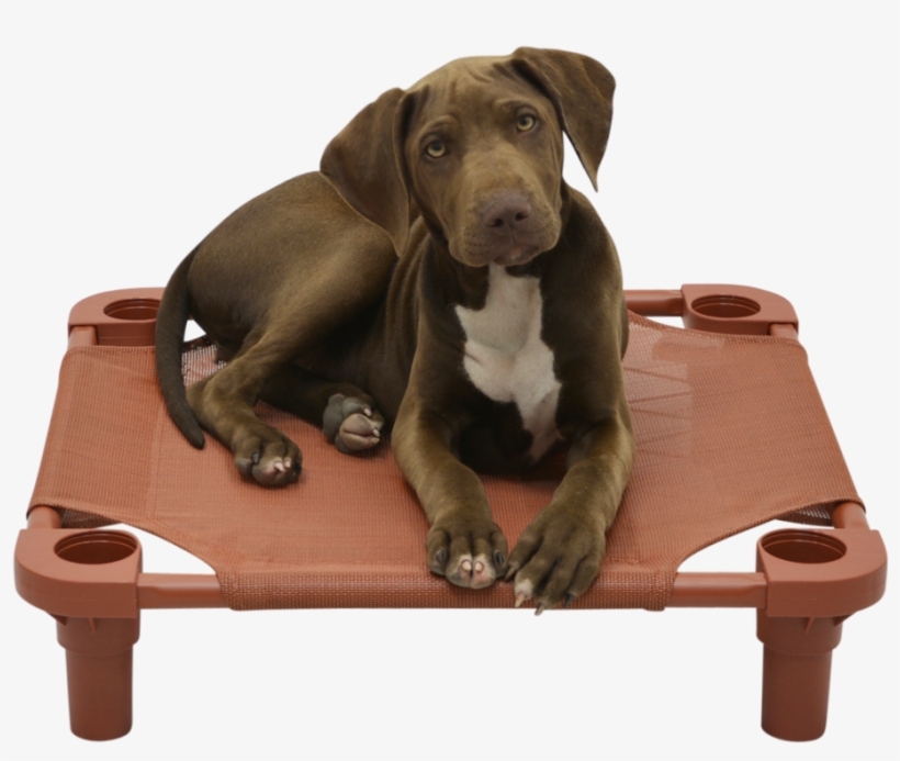 Clay Tweed Cot, transparent png