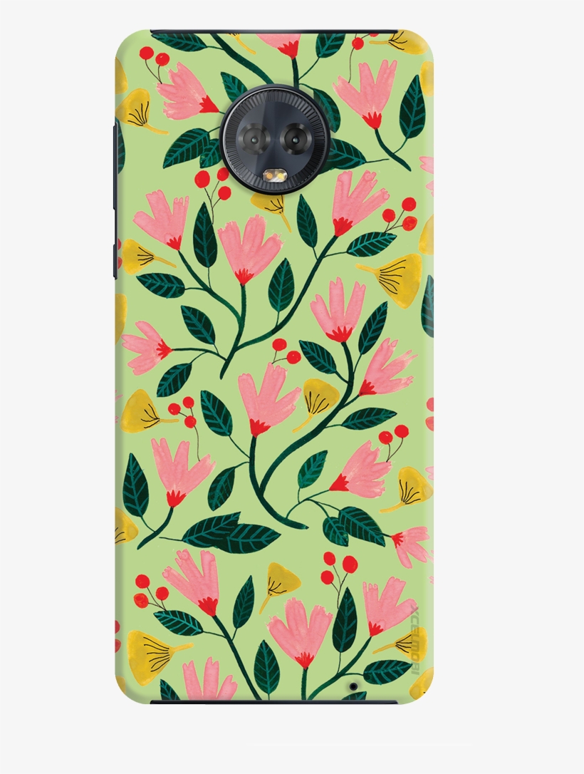 Cat, transparent png