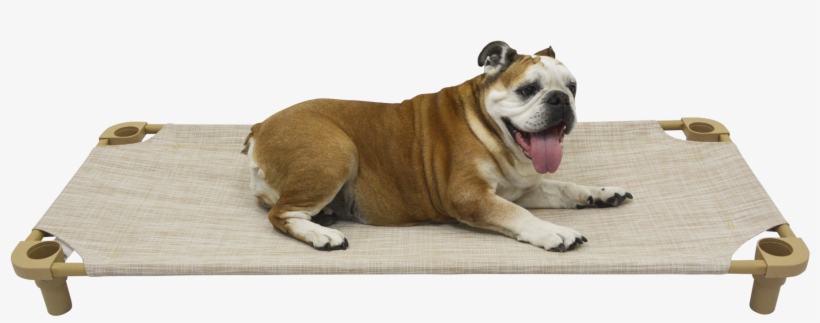 52×22 Premium Tweed Cot - Olde English Bulldogge, transparent png