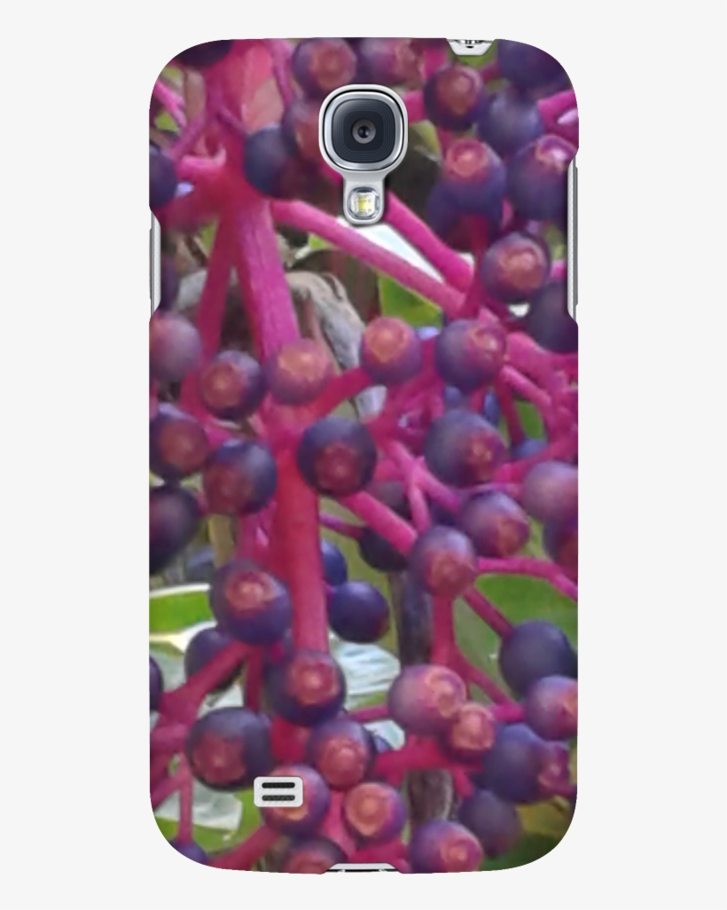 Tropical Flower Phone Case - Mobile Phone Case, transparent png