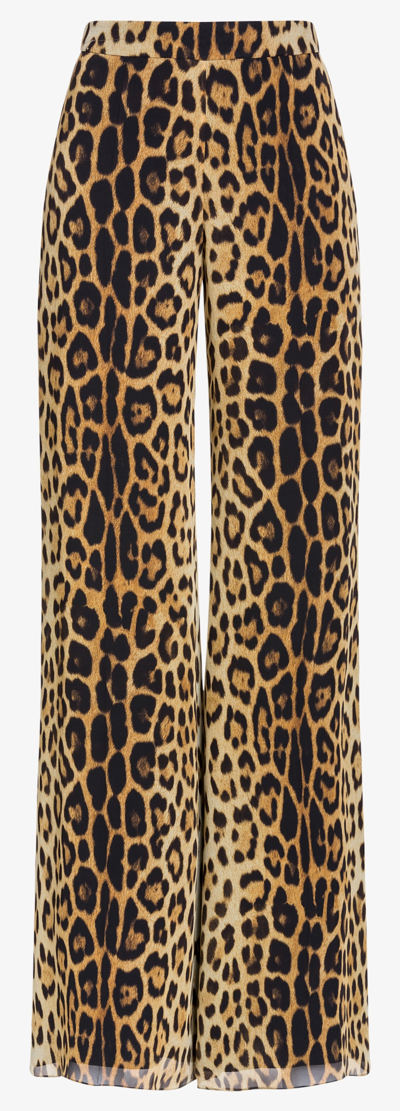 Aef191e 03050556 1888 1, transparent png