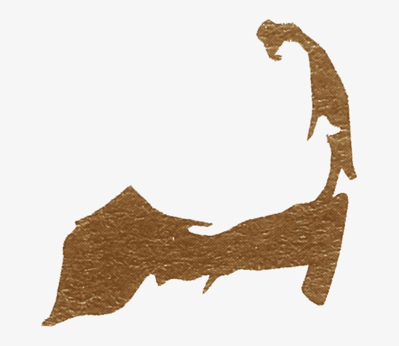 Cod Png, transparent png