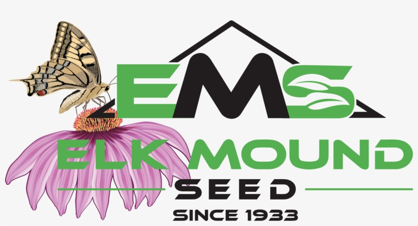Elk Mound Wildflowers, transparent png