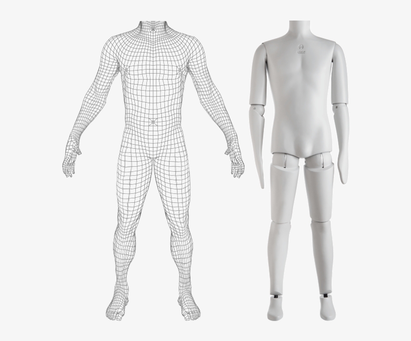 Formax® Mannequins Are Made In Full-length, On Real - Mannequin, transparent png