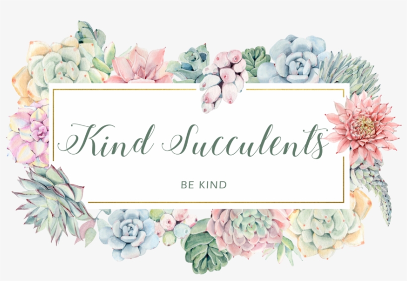 Kind Succulents - Garden Roses, transparent png