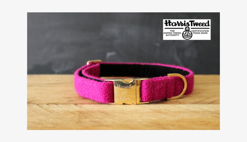 Boho Dog Collar Pink, transparent png