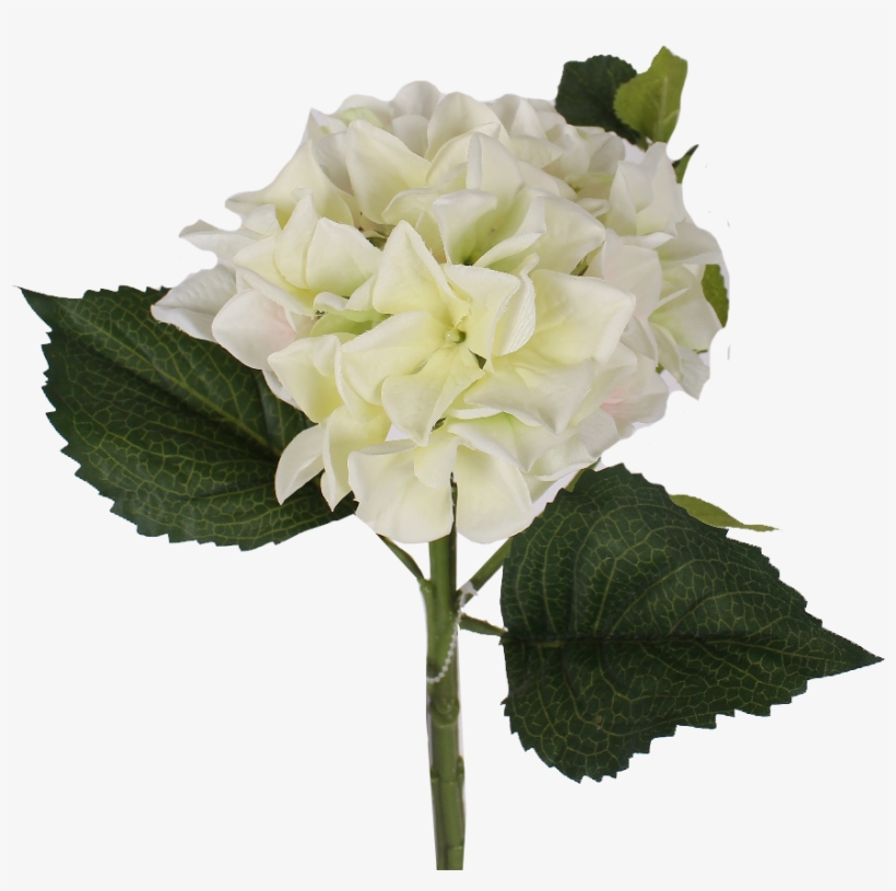 White Hydrangea Stem - Artificial Flower, transparent png