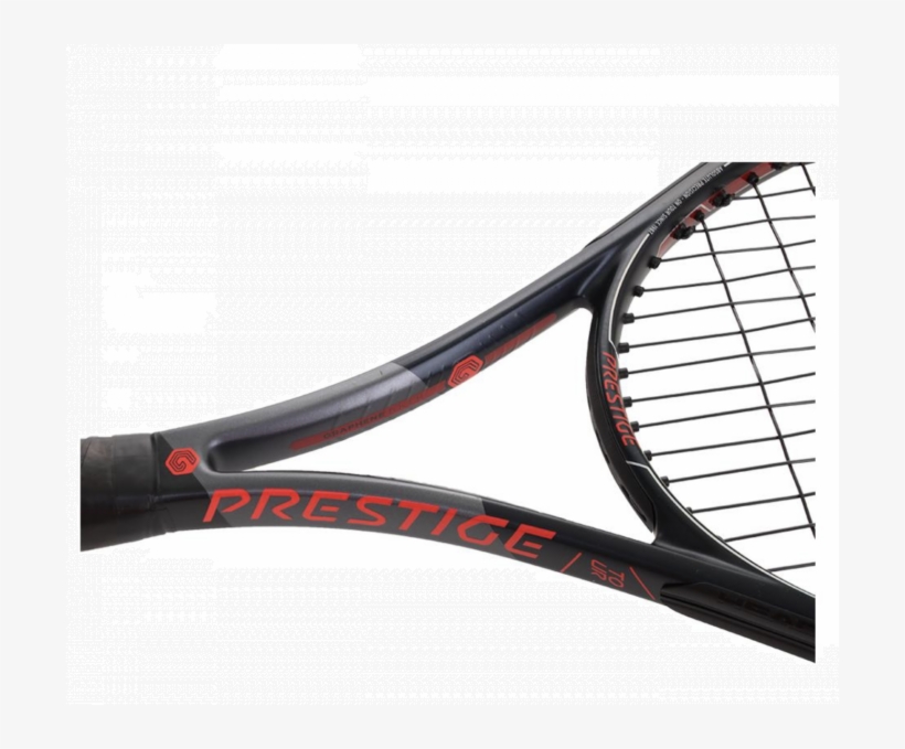 Head Graphene Touch Prestige Tour Tennis Racket - Tennis Racket, transparent png