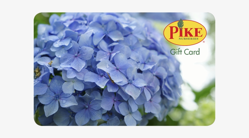 Pike Nursery, transparent png