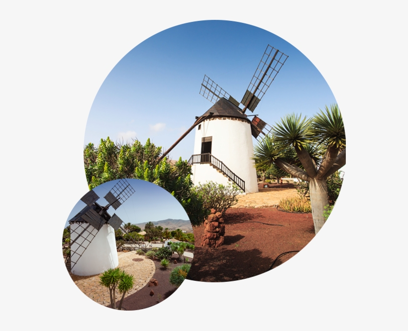 The Grains Can Be Of Different Cereals And The Grinding - Windmill, transparent png