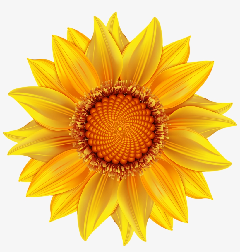 Yellow Flower Transparent Png Clip Art Image - Sun Flower Png Hd, transparent png