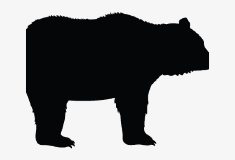 Brown Bear, transparent png