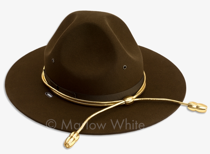 More Views - Cowboy Hat, transparent png
