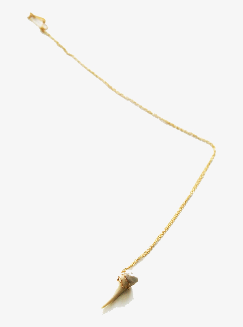 Related Products - Pendant, transparent png