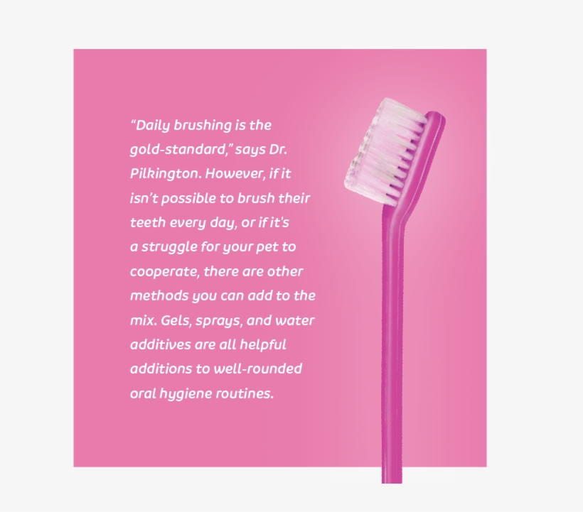 Ph - Quote - Plastic, transparent png