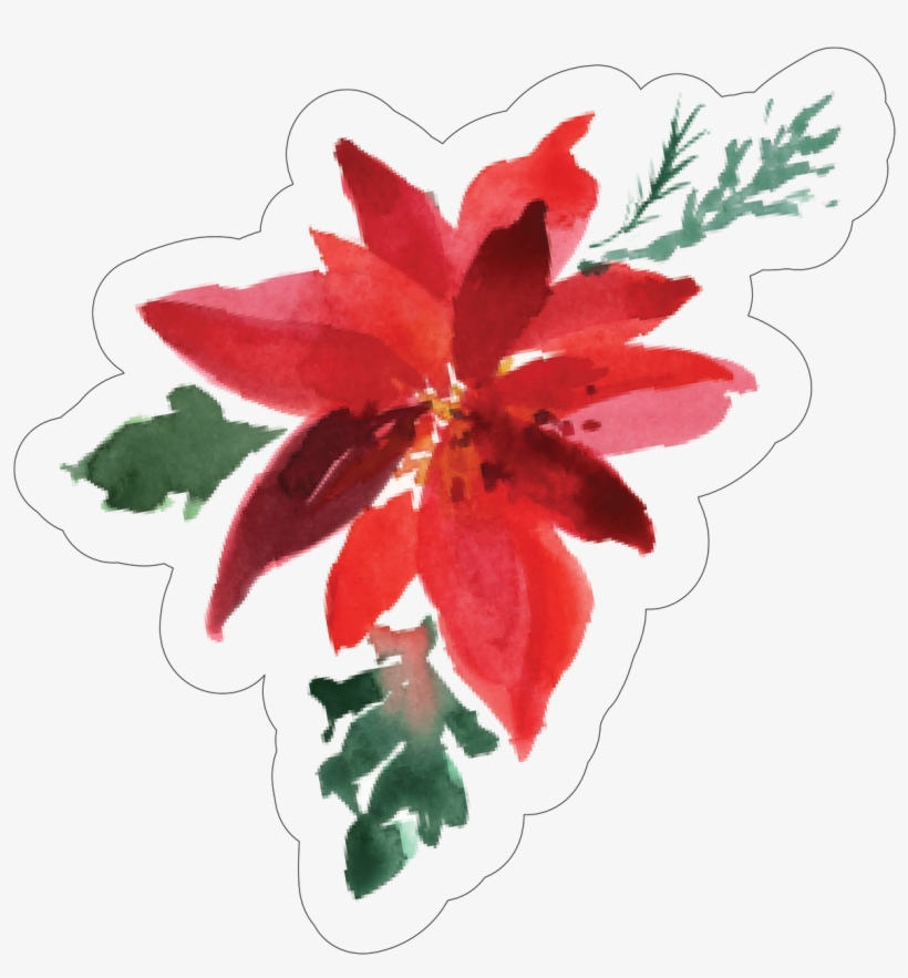 Categories - Lily, transparent png