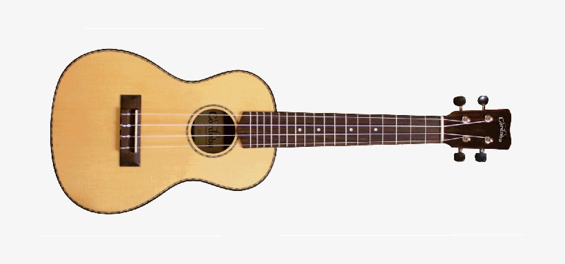 Cordoba 22c Concert Ukulele Solid Spruce Top Rw Back - String Instruments List, transparent png