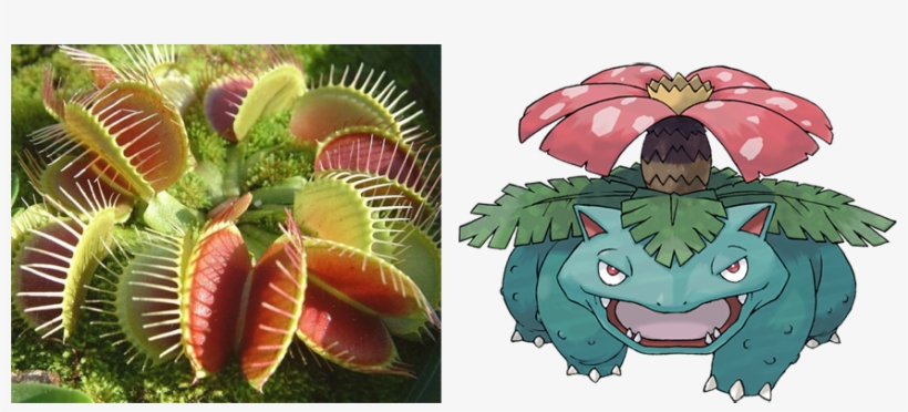 View 1520536419018 , - Pokemon Venusaur, transparent png