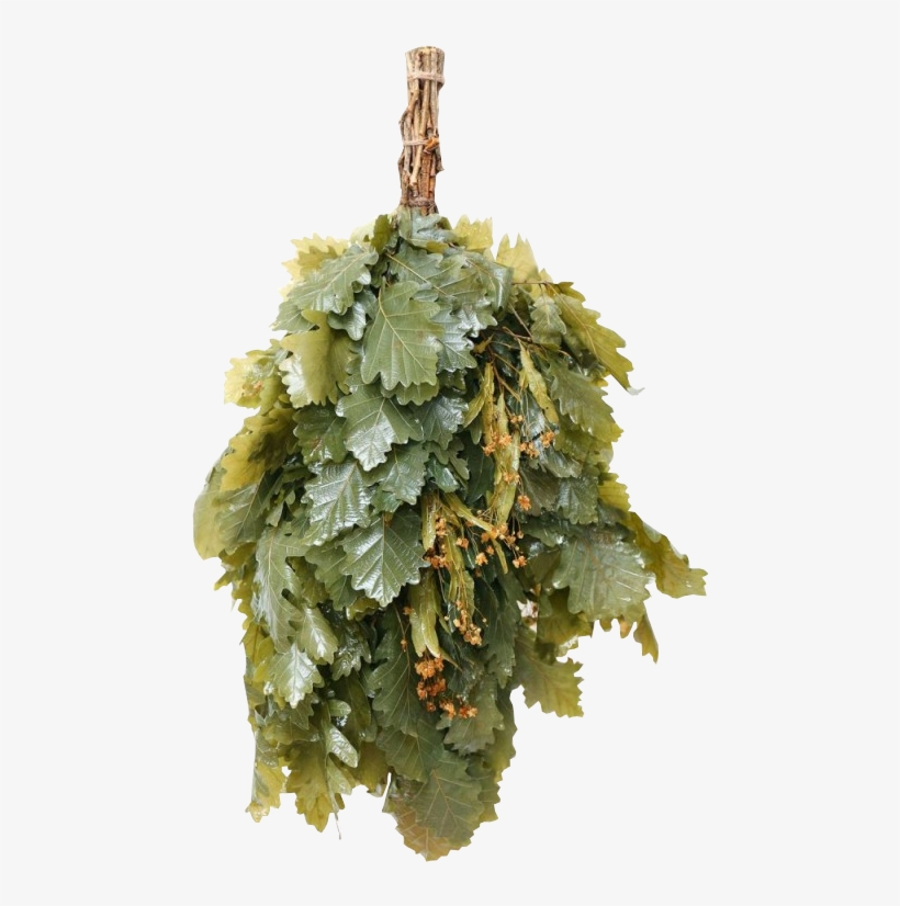 Sauna, transparent png