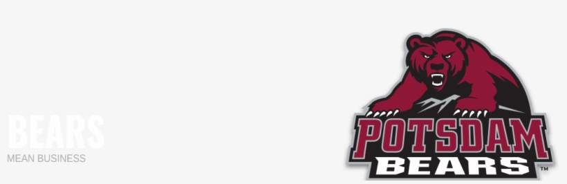 Bears Links - State University Of New York At Potsdam, transparent png