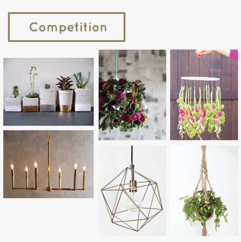 Stem-competition - Cut Flowers, transparent png