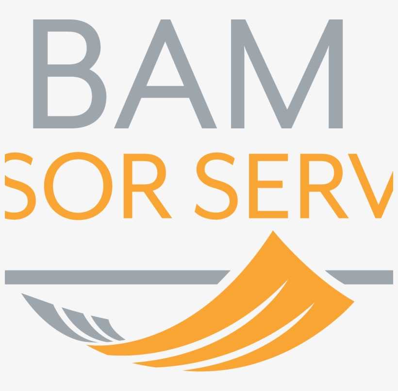 Bam Advisor Services, transparent png