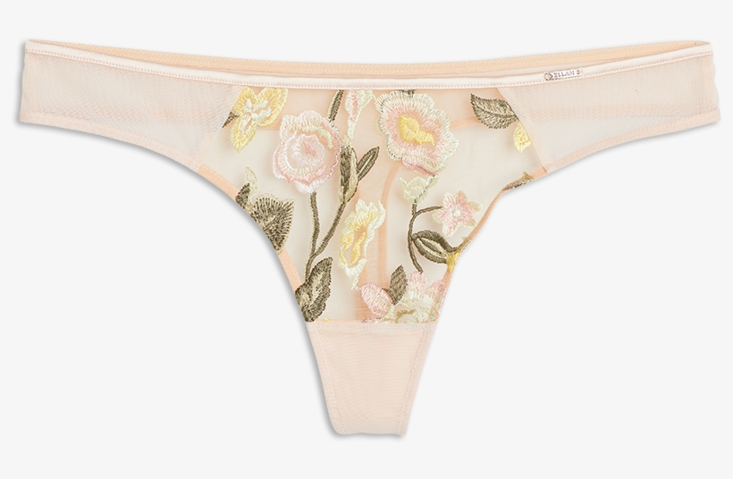 Thong Low With Embroidery Skin - Underpants, transparent png