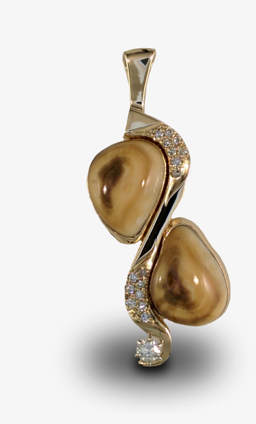 Elk Ivory Jewelry - Elk Teeth Jewelry, transparent png