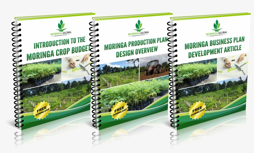 To Get Instant Access To All The Documents, Click Here - Flyer, transparent png