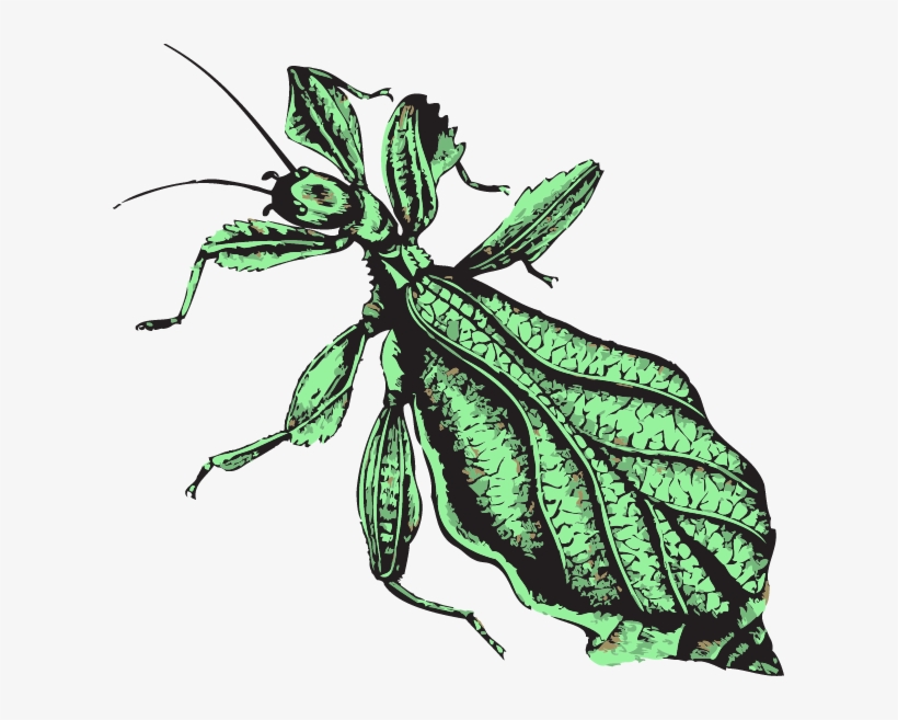 Publications - Illustration, transparent png